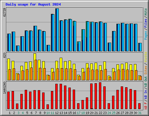 Daily usage for August 2024