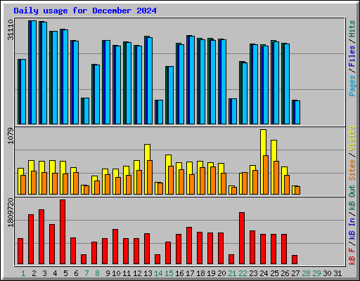 Daily usage for December 2024