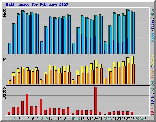 Daily usage for February 2025