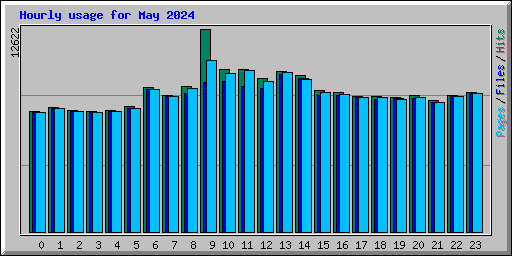 Hourly usage for May 2024