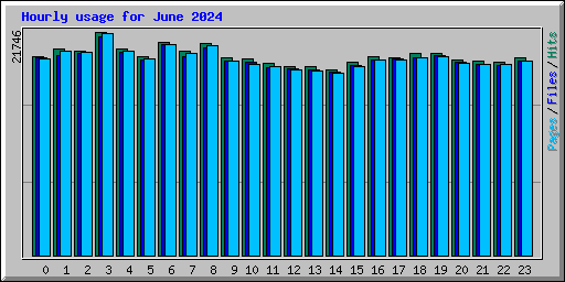 Hourly usage for June 2024