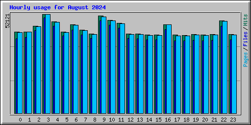 Hourly usage for August 2024