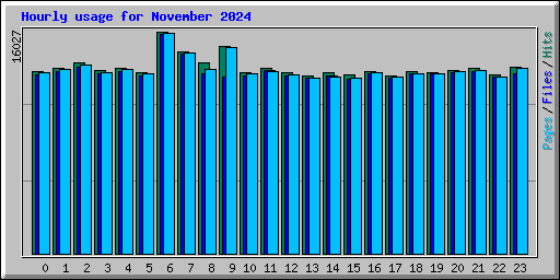 Hourly usage for November 2024