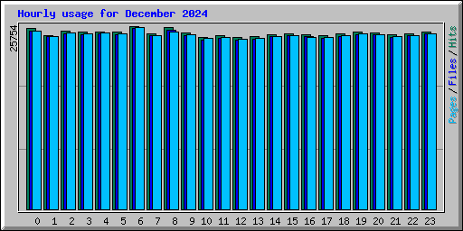 Hourly usage for December 2024