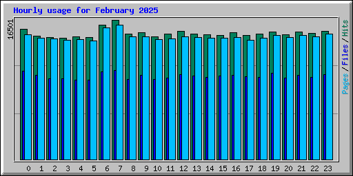 Hourly usage for February 2025